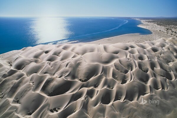 Dunes de sable avec vue sur la mer