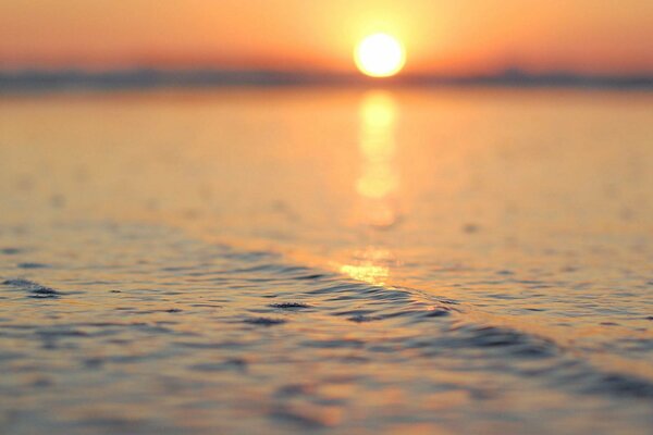 Die Sonne spiegelt sich auf der unruhigen Leinwand des Wassers wider