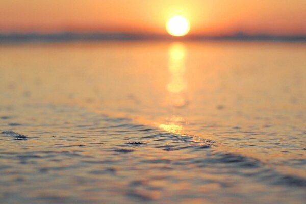 Le soleil se reflète sur la toile agitée de l eau