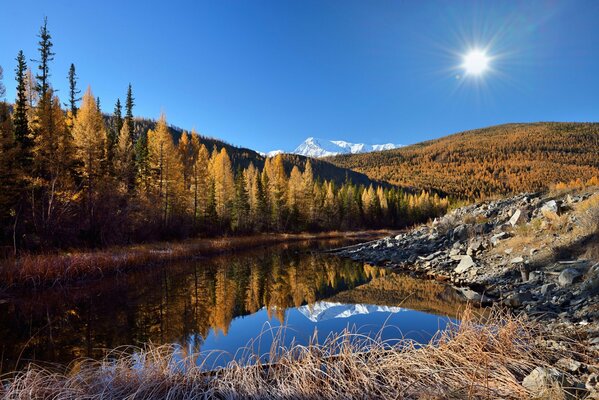 A wonderful morning in Altai on the lake