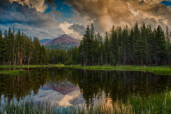 Forest landscape with a lake in the foreground and mountains in the background