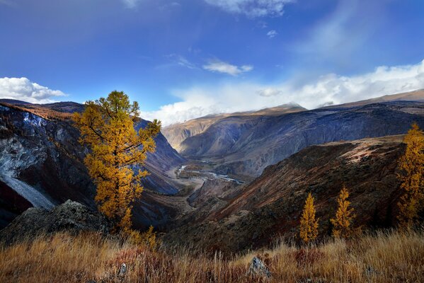 Bellissimo autunno nelle montagne dell Altai