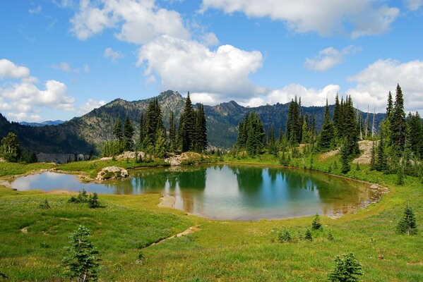 Lac herbe ciel nuages