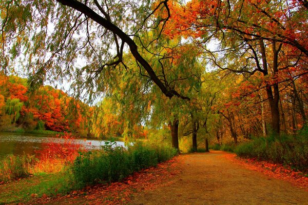 Hermoso parque en la temporada de otoño