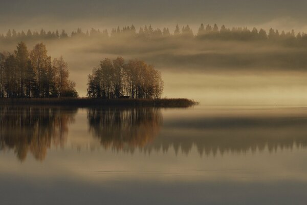 Mystisches Foto mit Herbstnebel