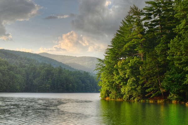 Mattina nella foresta vicino al lago