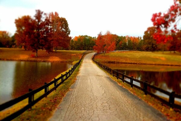 Autumn colors on the river bridge