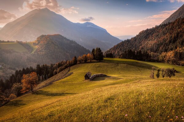 Fabulous landscape meadows near the forest on the mountainside