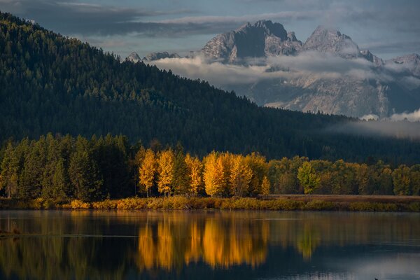 Paisaje de la mañana en el parque nacional de Wyoming