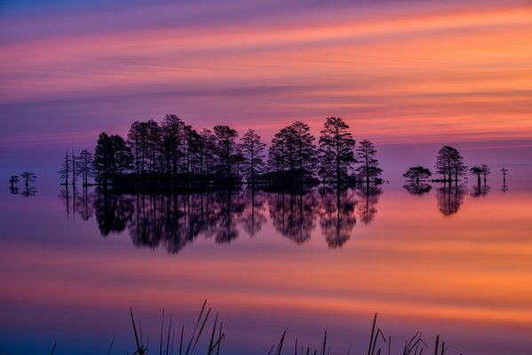 La naturaleza refleja perfectamente la belleza