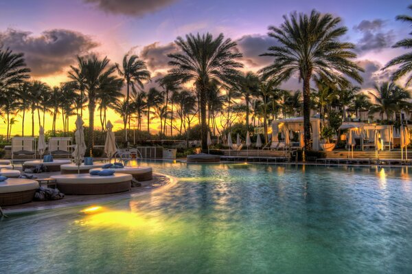 Palmiers au bord de la piscine sur fond de ciel coucher de soleil