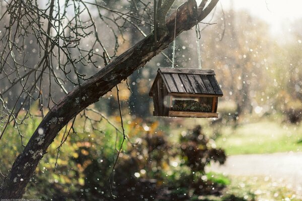 Snow falls on a birdhouse on a tree