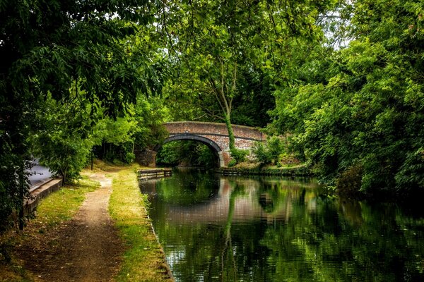 Bridge over the river in a colorful park