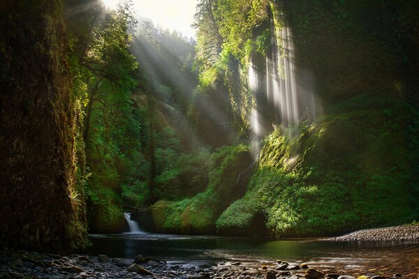 Летний пейзаж с водопадами и лучами солнца