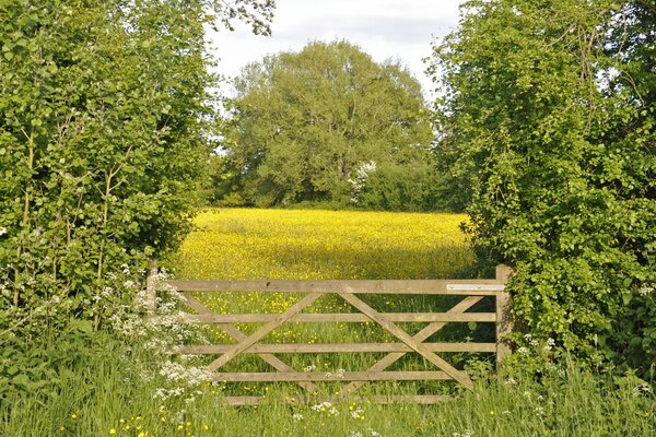 Dans la Prairie entre les arbres, il y a une porte en bois