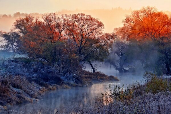 Fiume nella foresta autunnale, avvolto dalla foschia della nebbia mattutina e dal brina