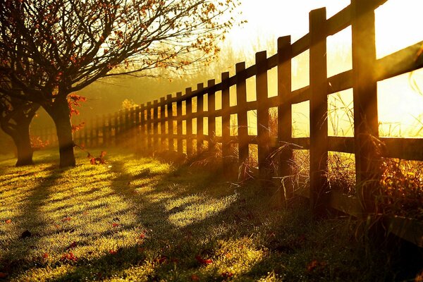 Les rayons du coucher du soleil tombent à travers la clôture sur le sol