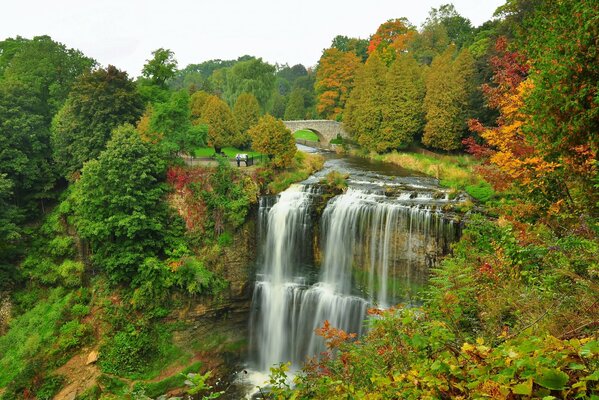 Chute d eau d automne. Paysage d automne