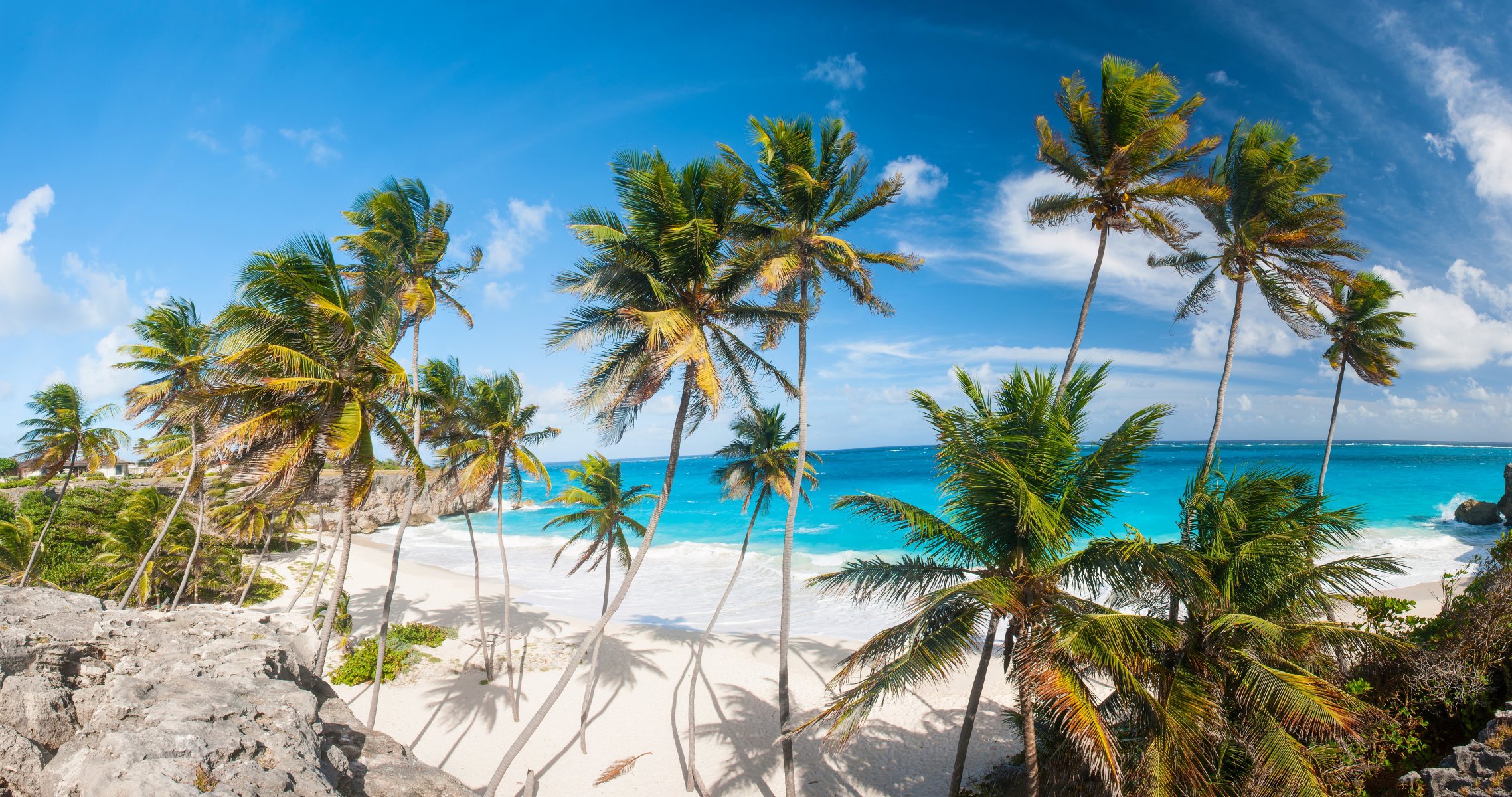 tropisch paradies strand küste meer blau smaragd ozean palm sommer sand urlaub tropen sonne insel küste palmen