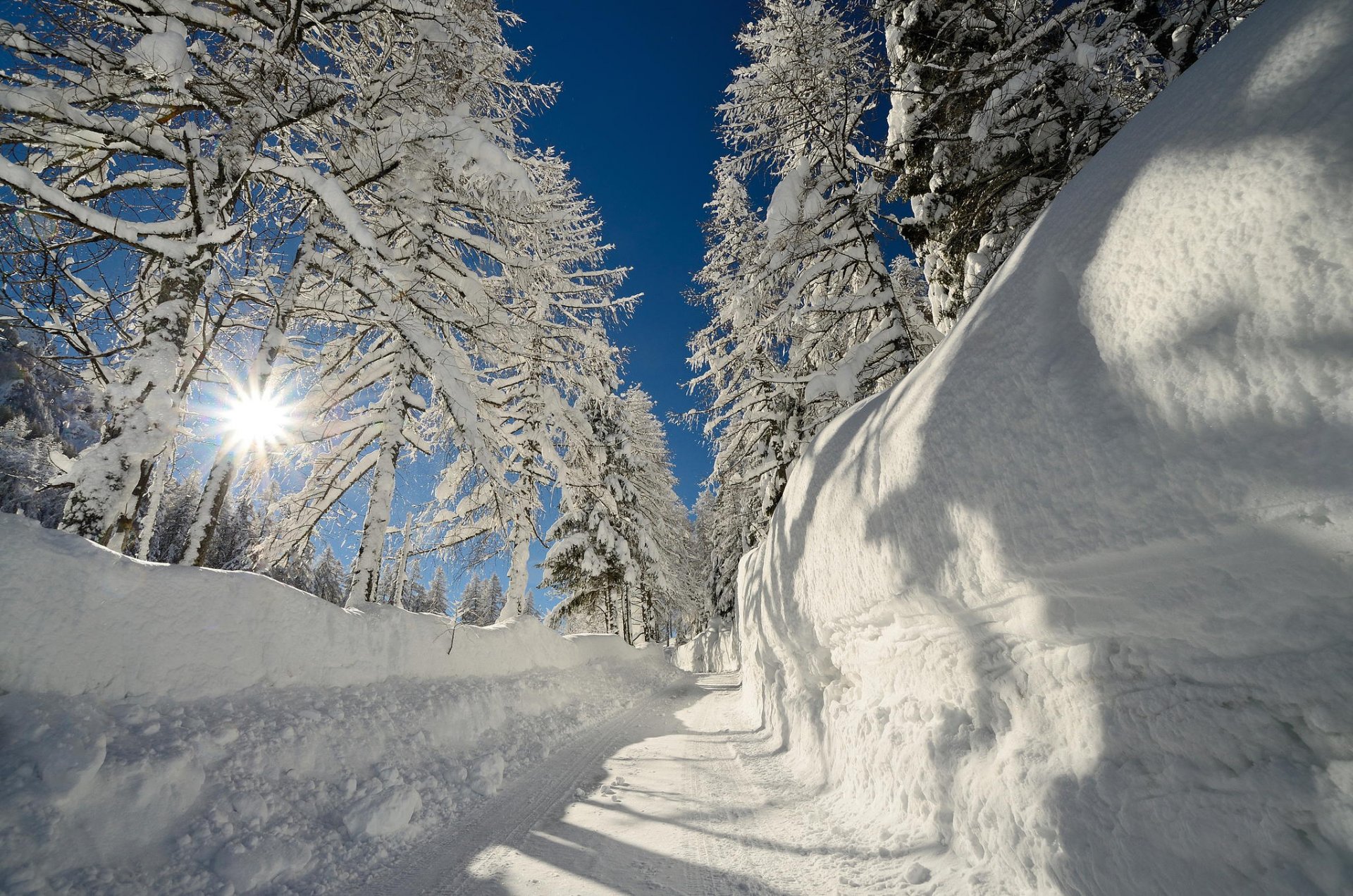 gel soleil congères neige arbres