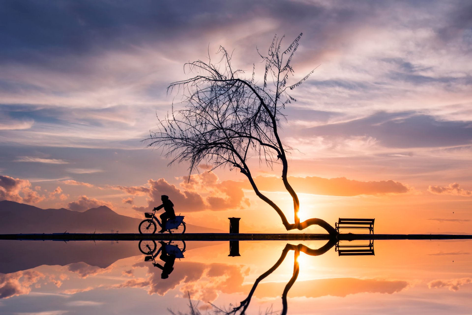 puesta de sol árbol mujer bicicleta siluetas reflexión