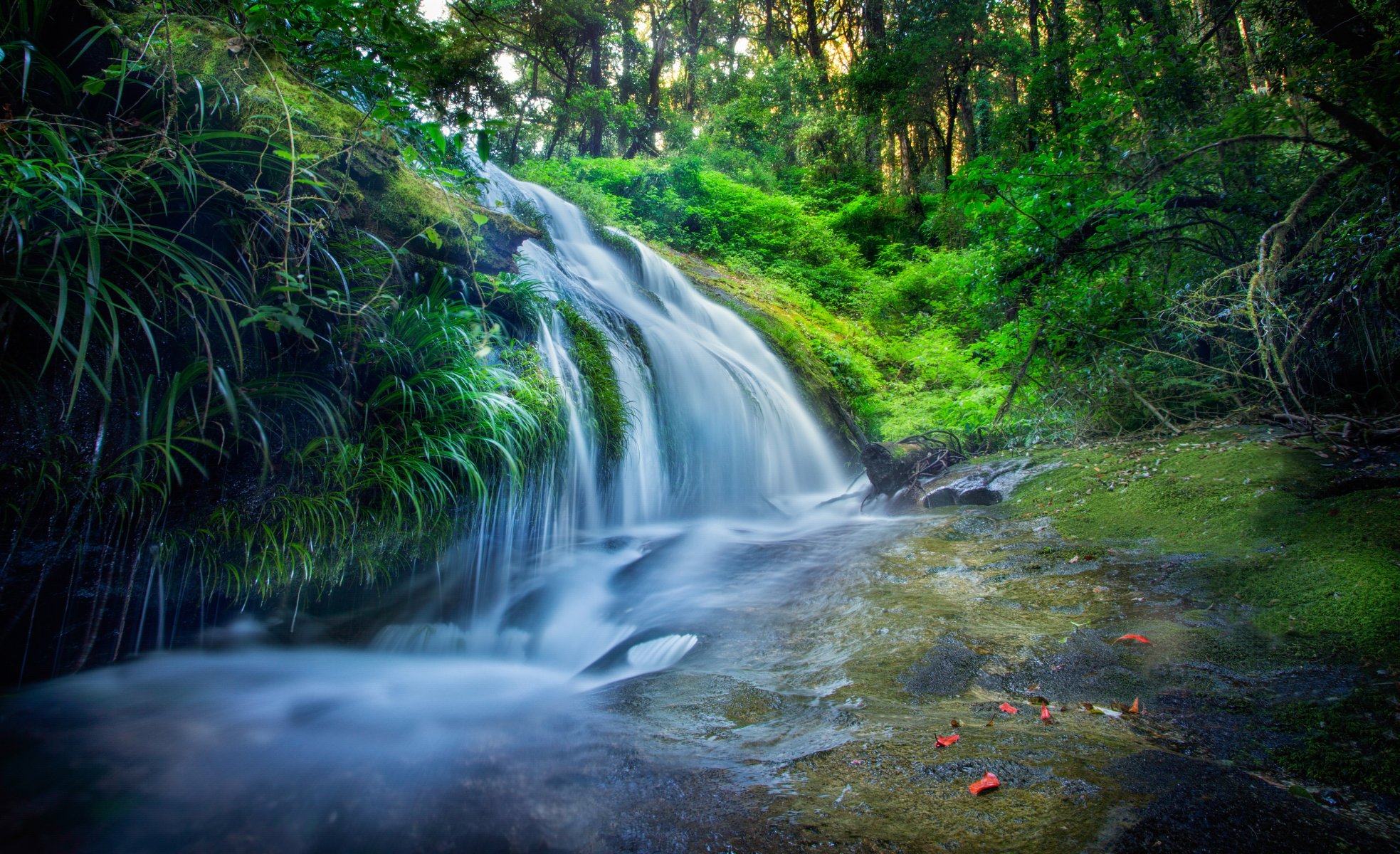 thailandia foresta foglie fiume cascata cascata flusso alberi pietre lavorazione