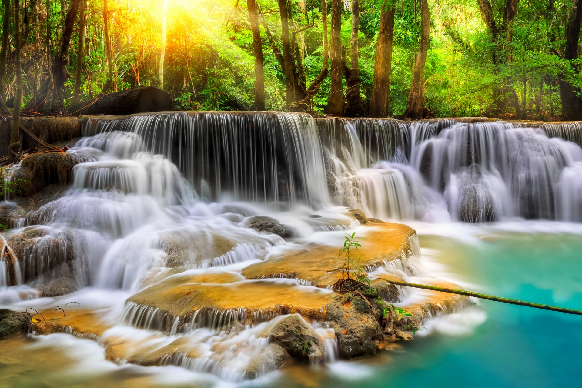 thailand forest river waterfall stage feed tree stones processing