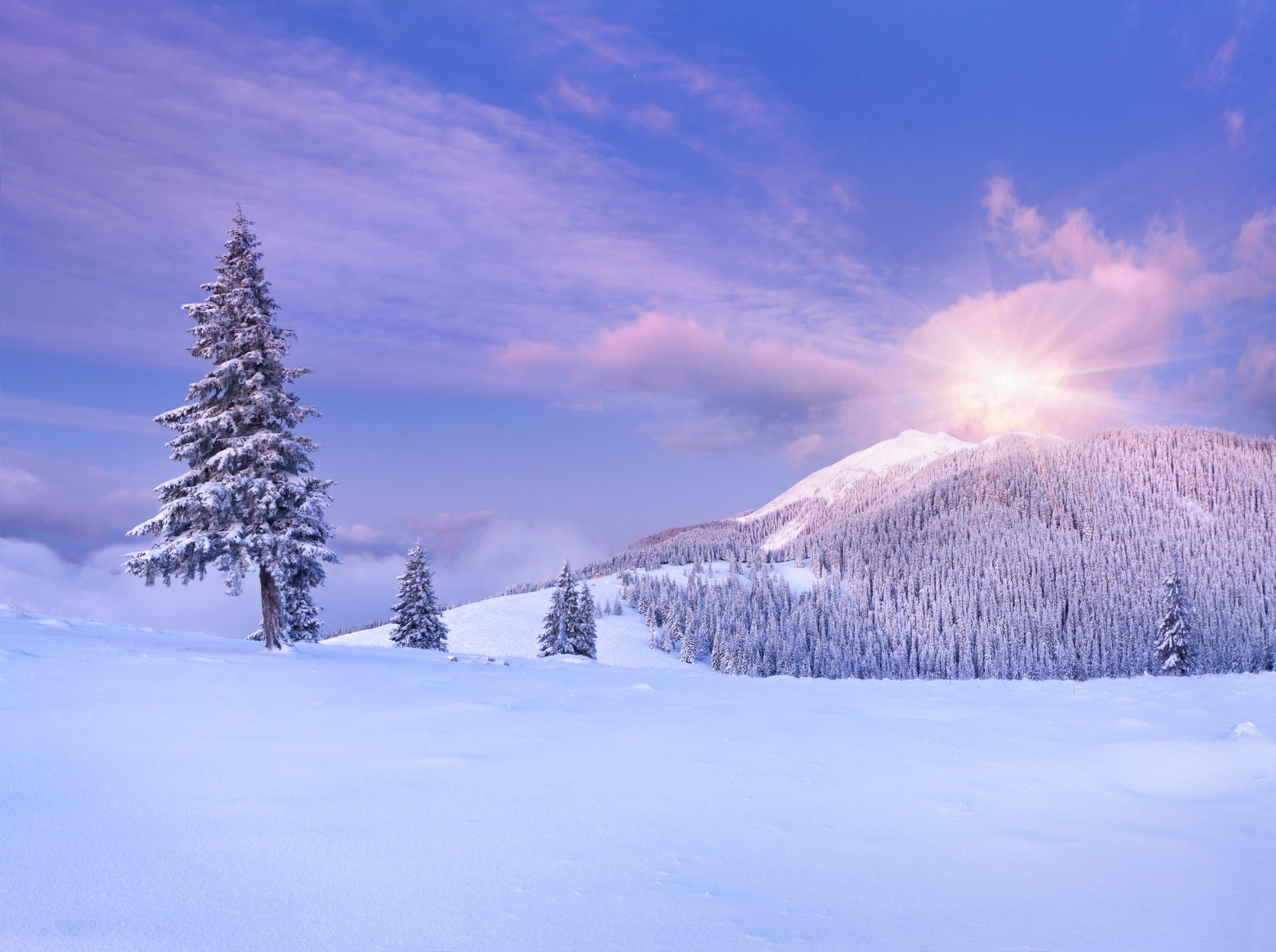 nature paysage montagnes ciel nuages neige hiver arbres