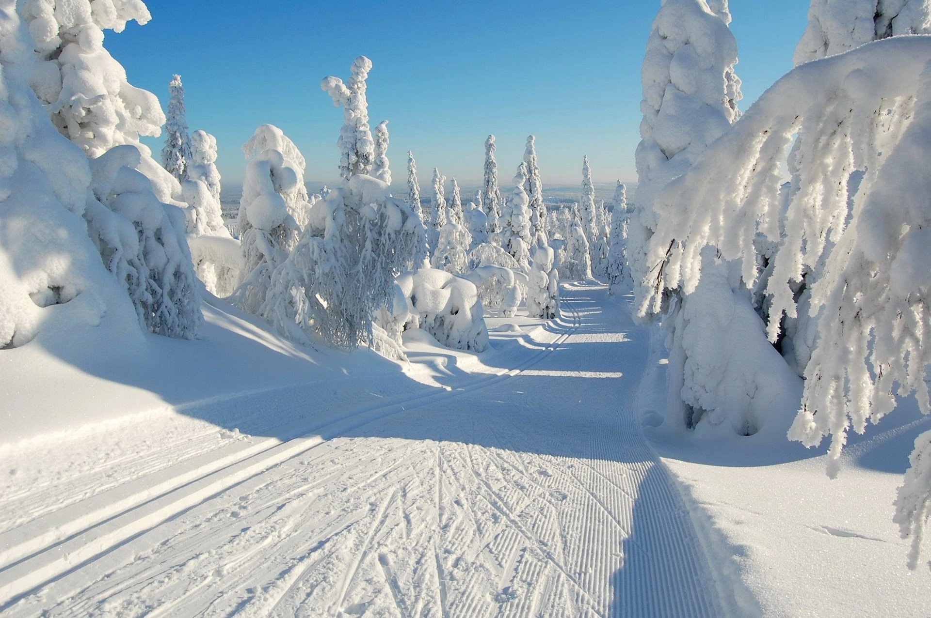 himmel winter straße wald schnee bäume fichte