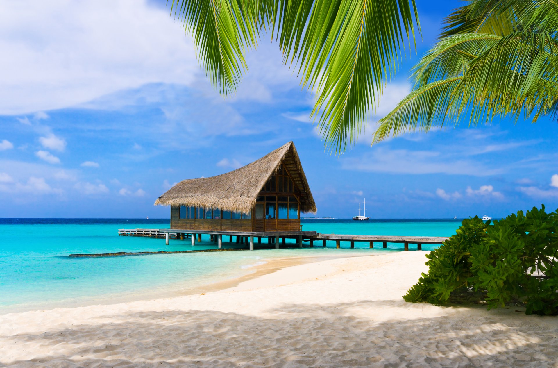 maldive spiaggia sabbia palme oceano