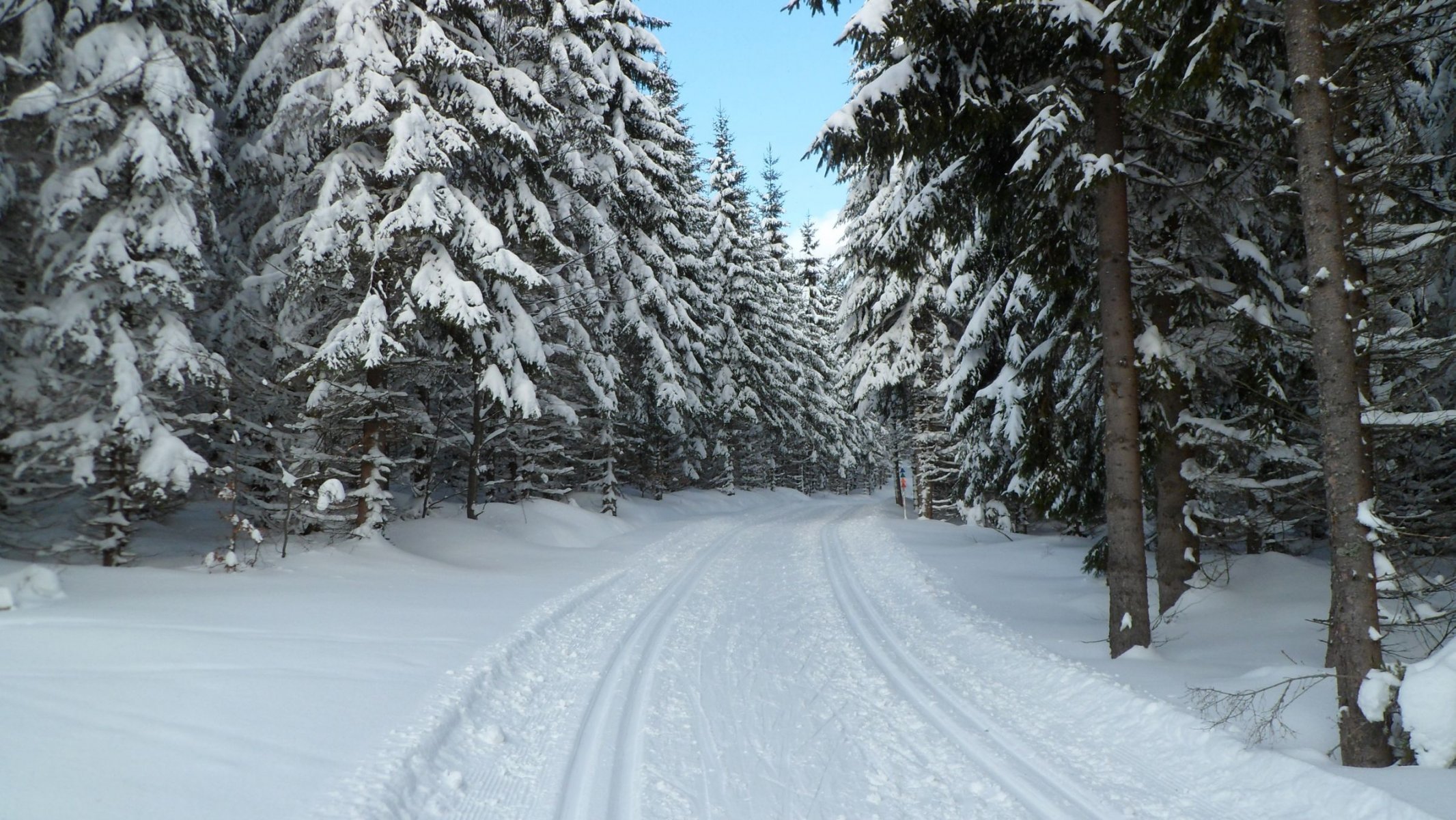 hiver forêt neige république tchèque bohême šumava narodni park šumava prášily