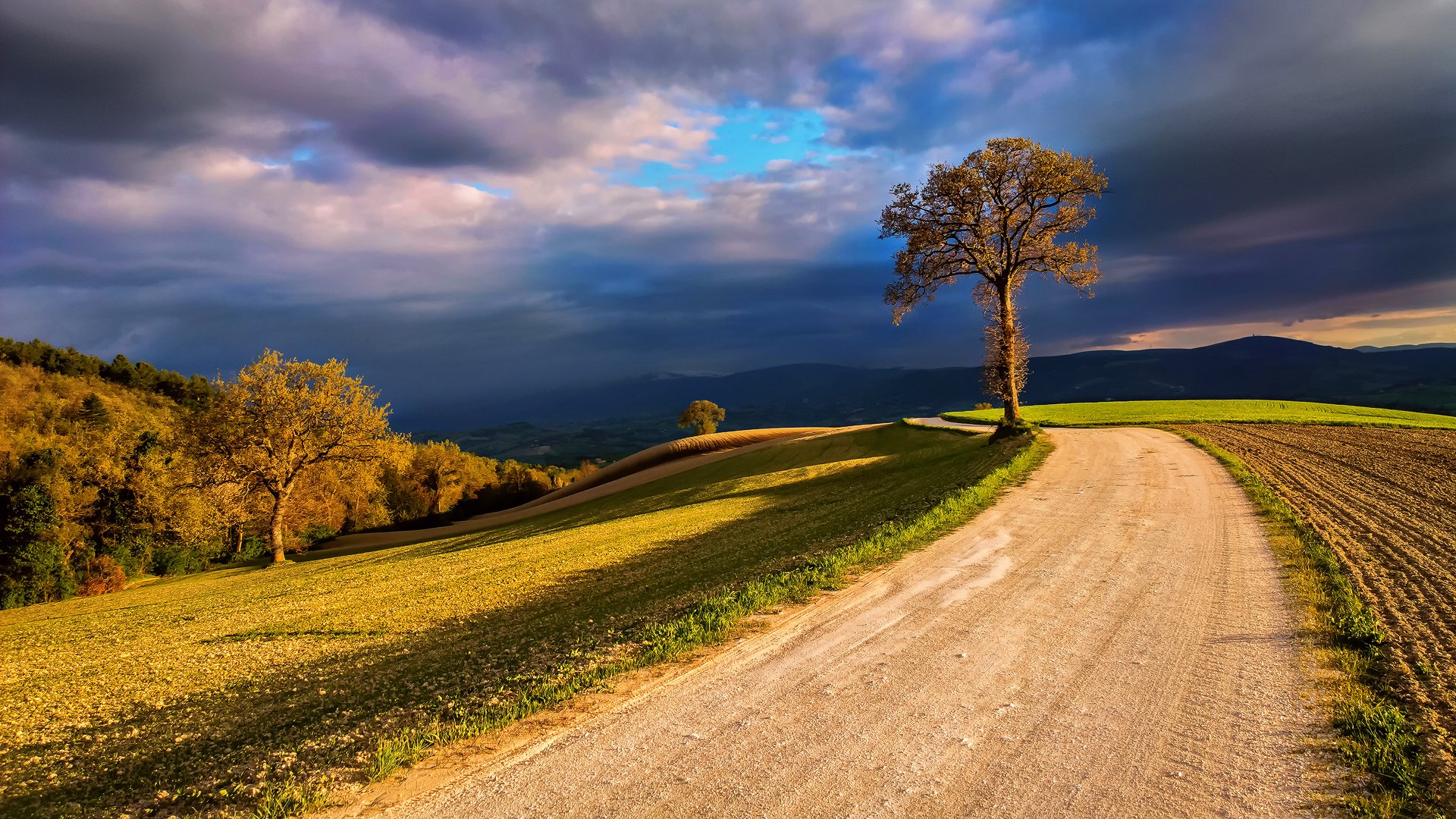 italy nature fields tree light clouds clouds sky