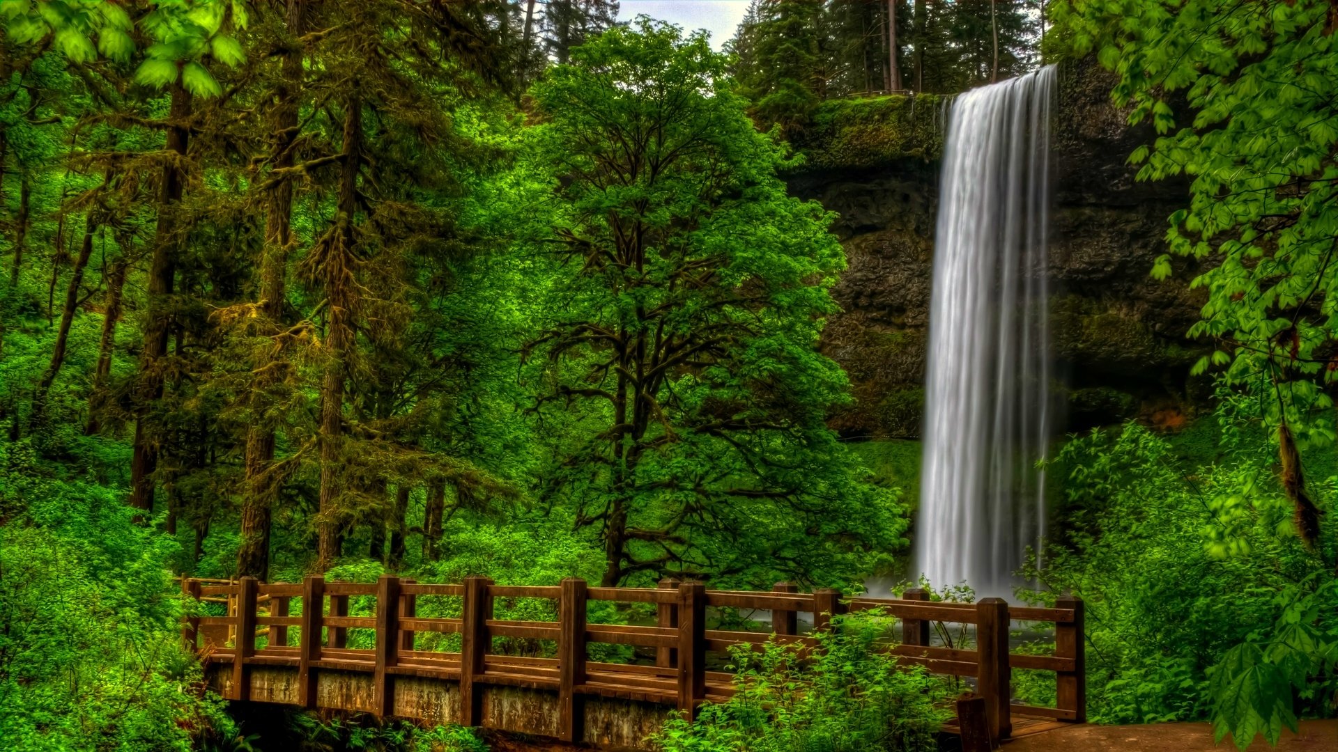 natura vista alberi foresta parco ponte cascata acqua paesaggio vista