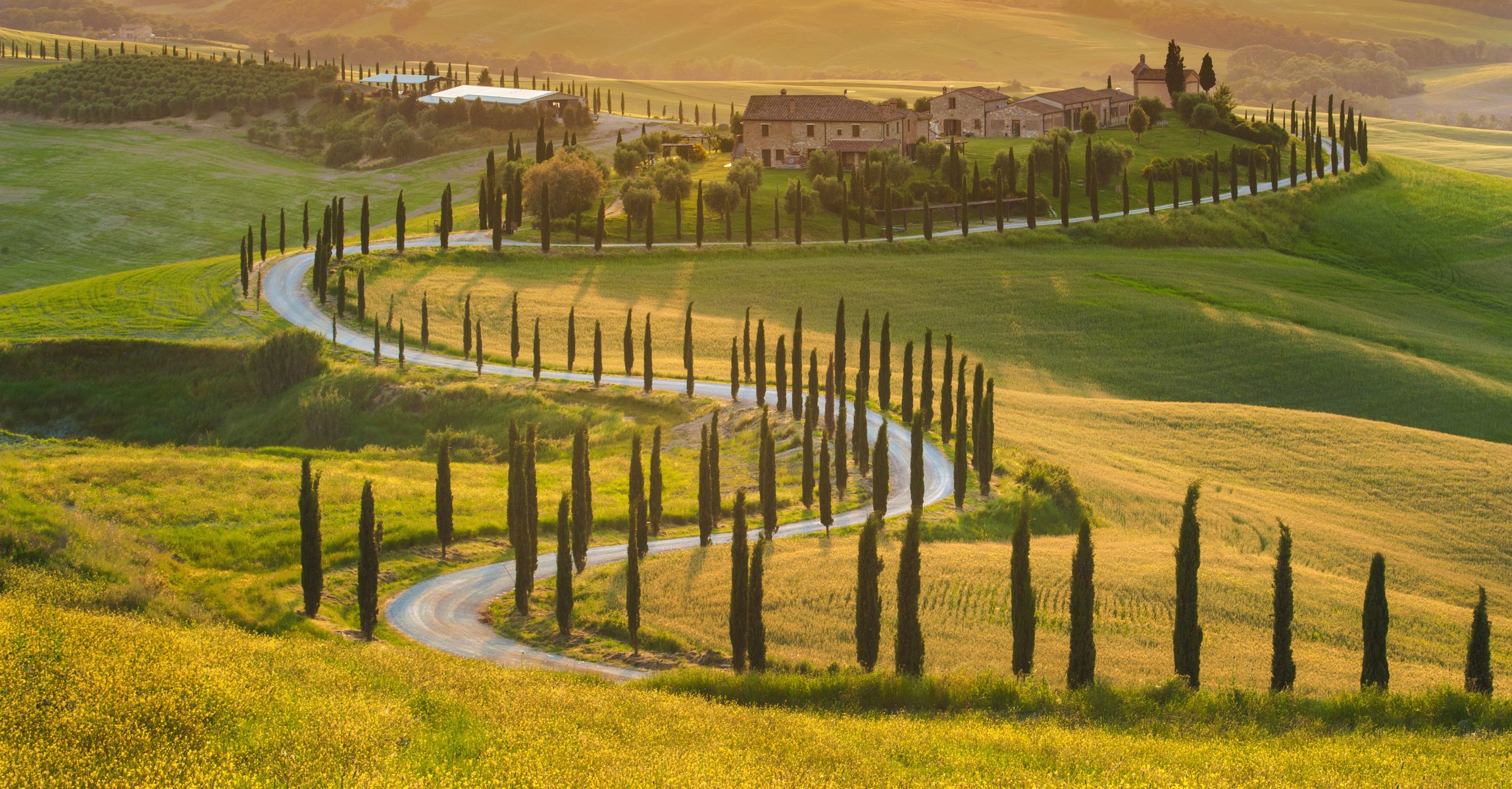 italia toscana ulivi campo verde bella natura paesaggio casa campo verde luce del sole cipresso cartone strada