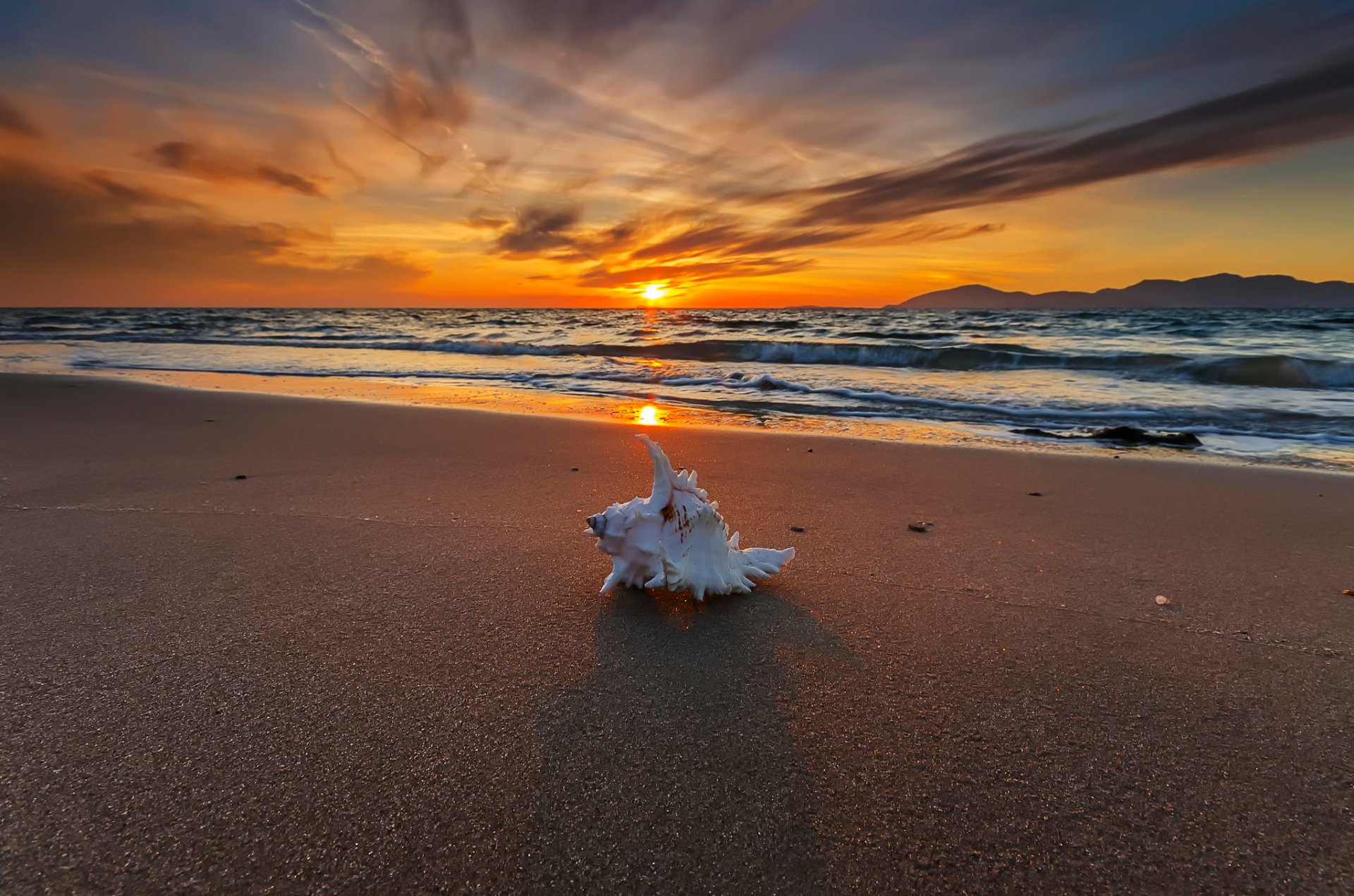 tesori del mare riva conchiglia surf tramonto