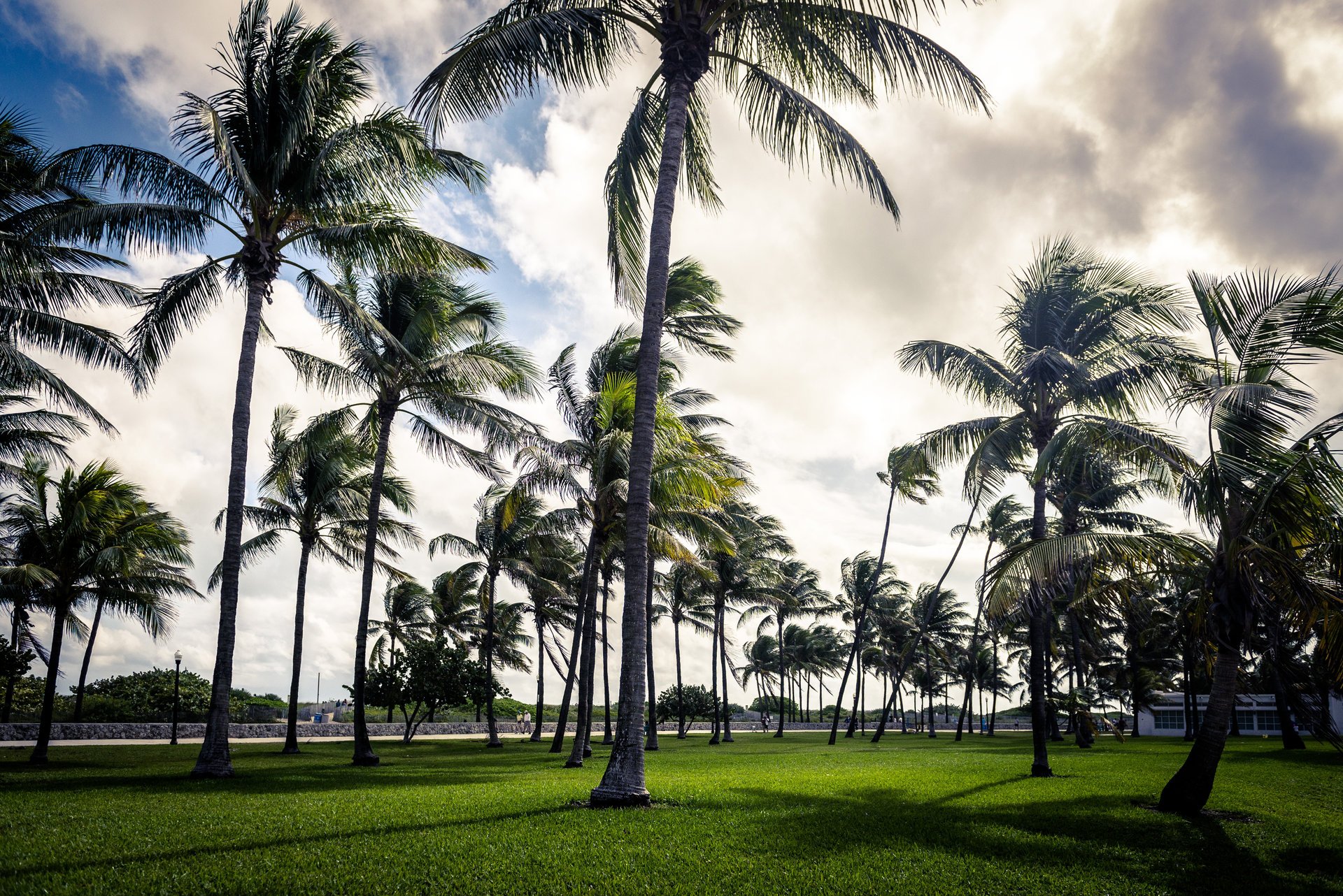 art deco palma miami plaża floryda usa niebo chmura trawa park art deco palma palmy