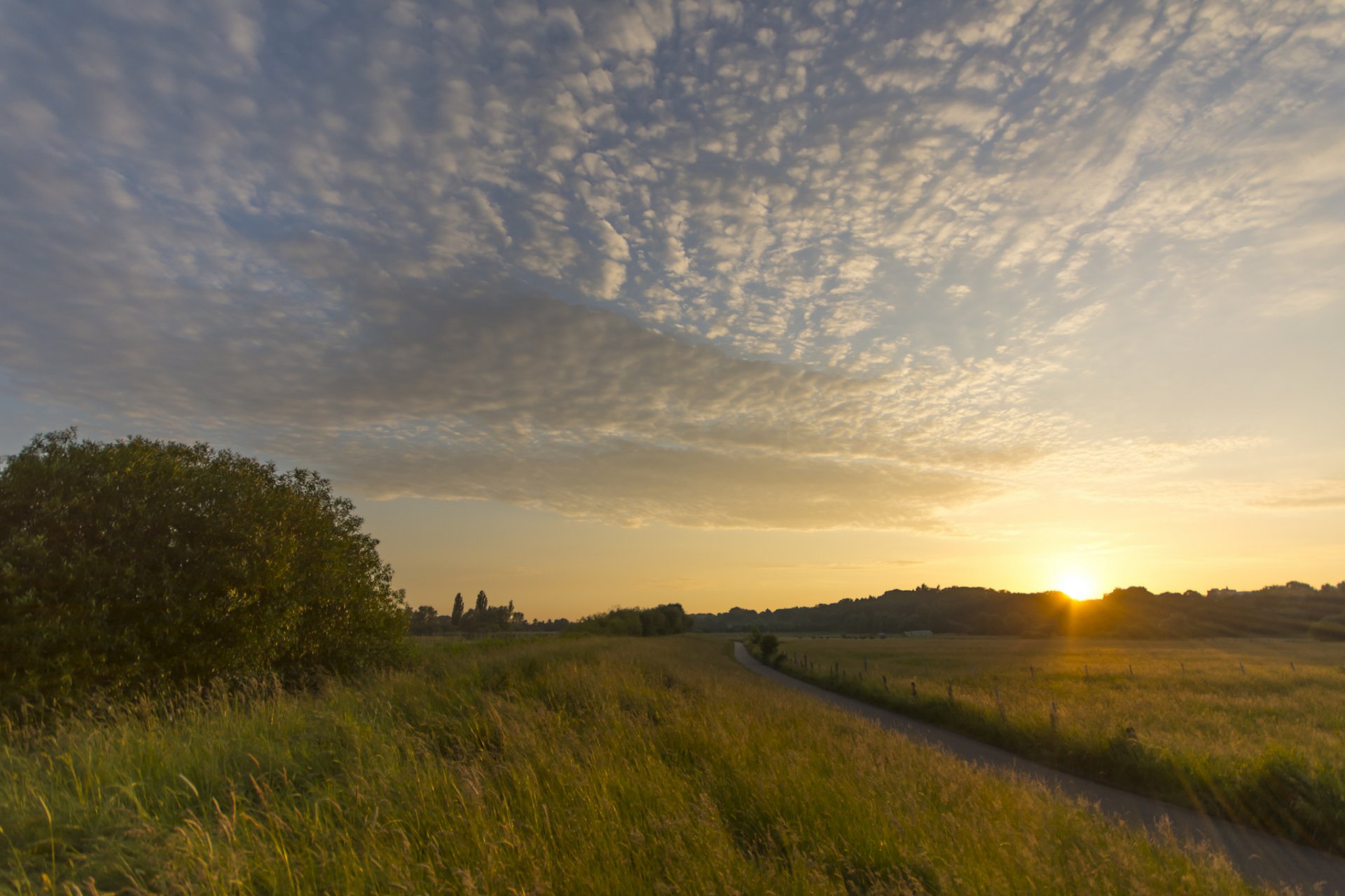 alemania campo claro camino árboles tarde sol rayos puesta de sol cielo nubes