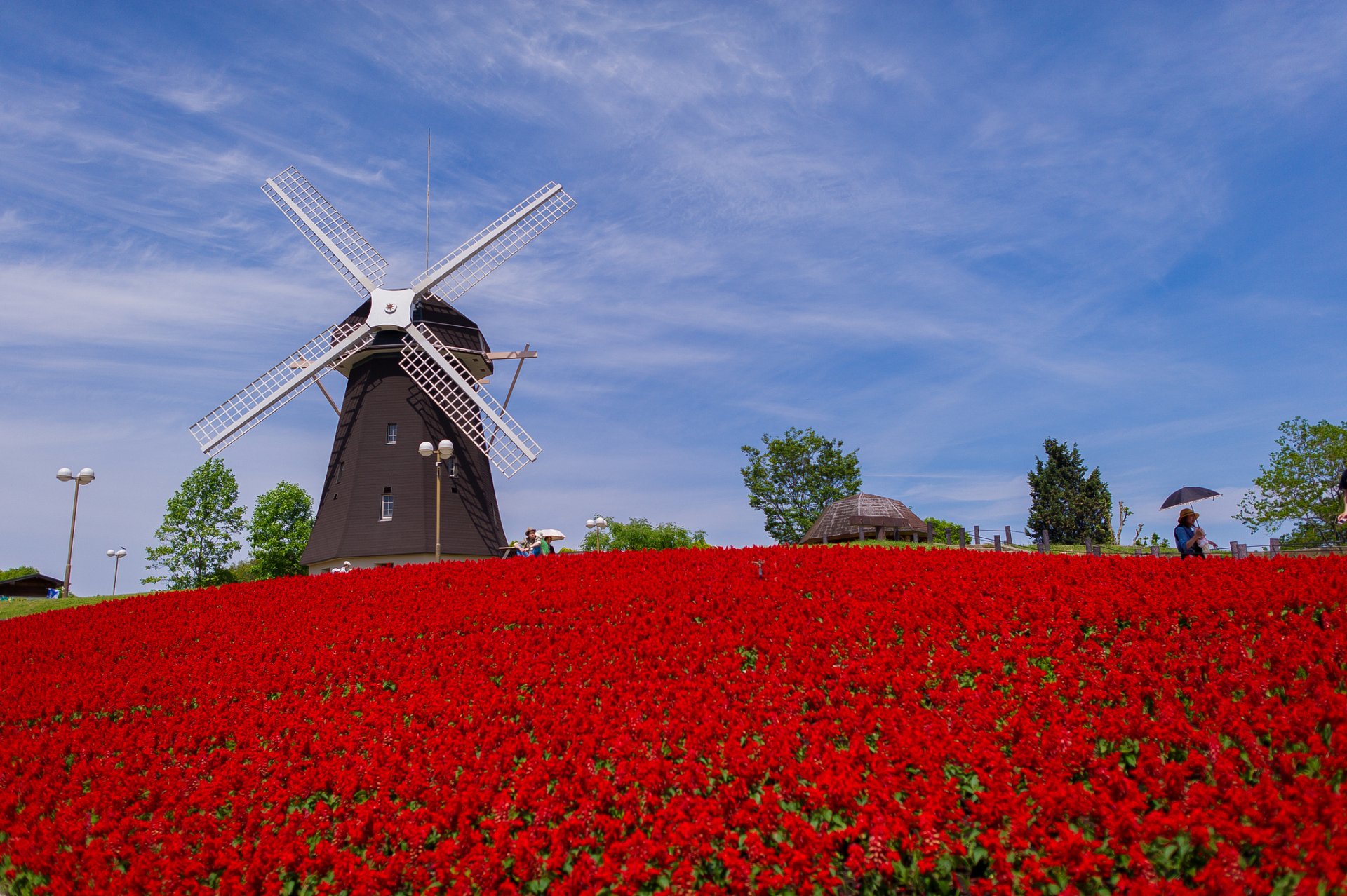 tsurumi ryokuchi parc osaka japon moulin à vent fleurs parc