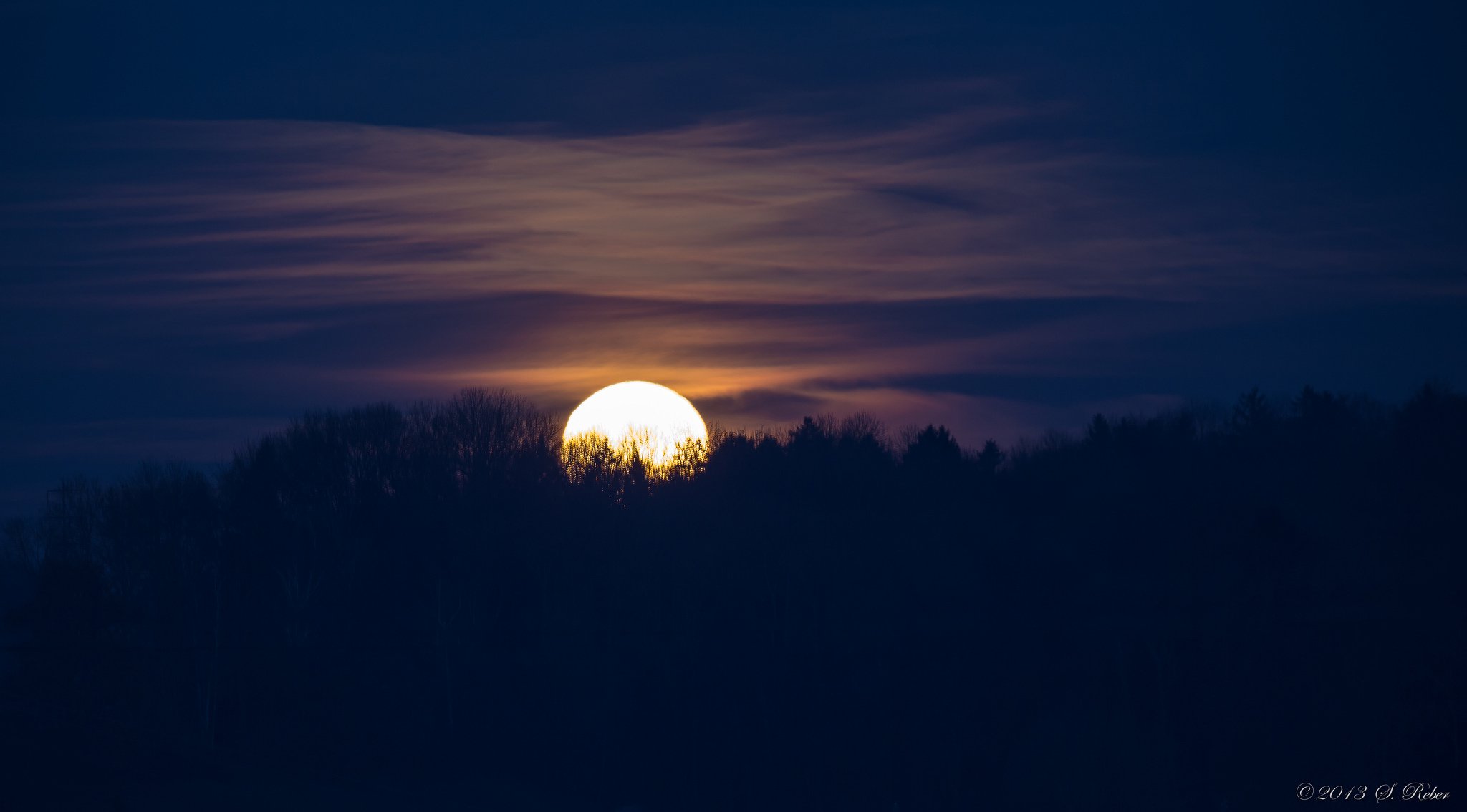 night blue sky moon full moon forest