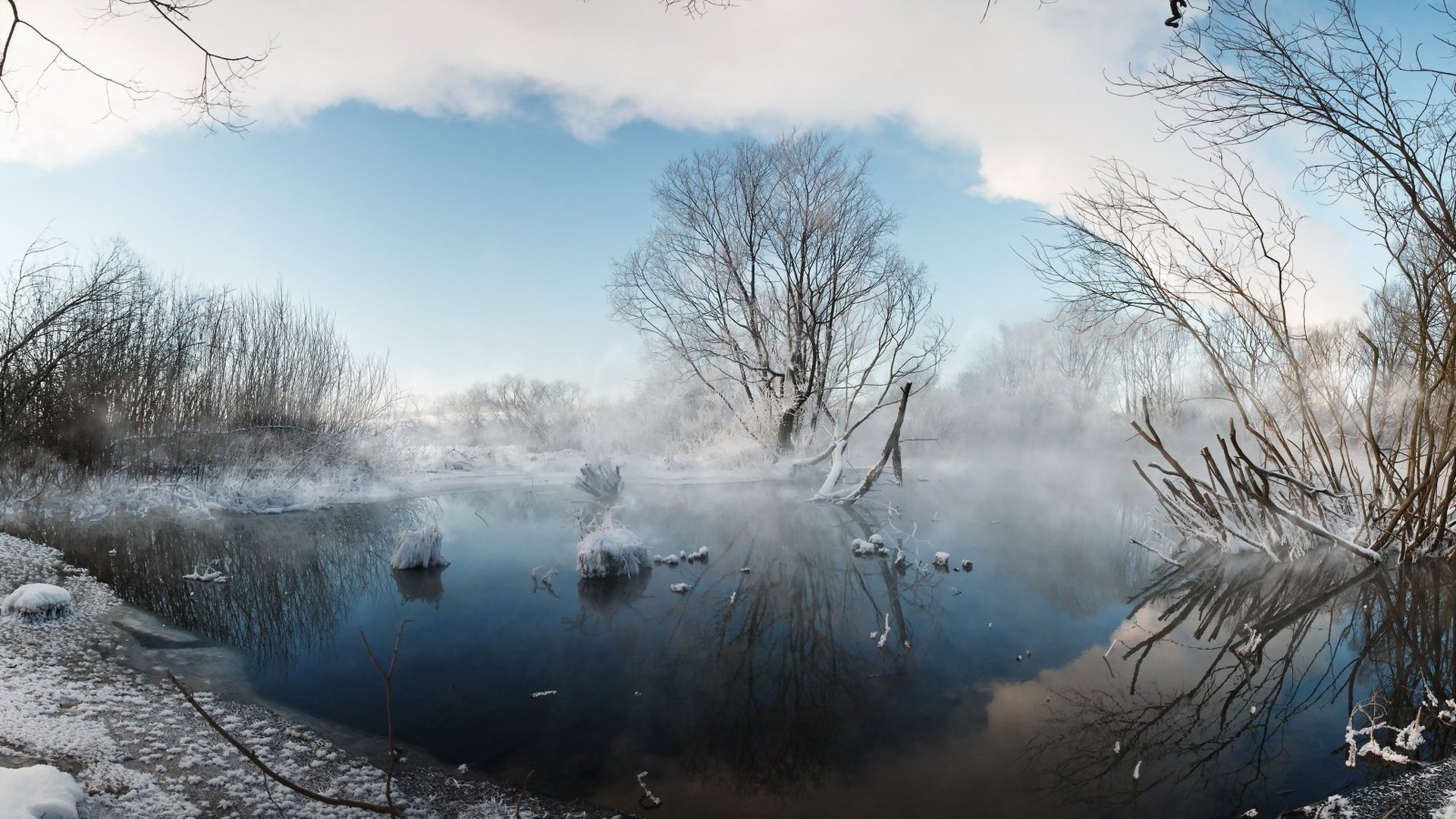 inverno lago nebbia natura