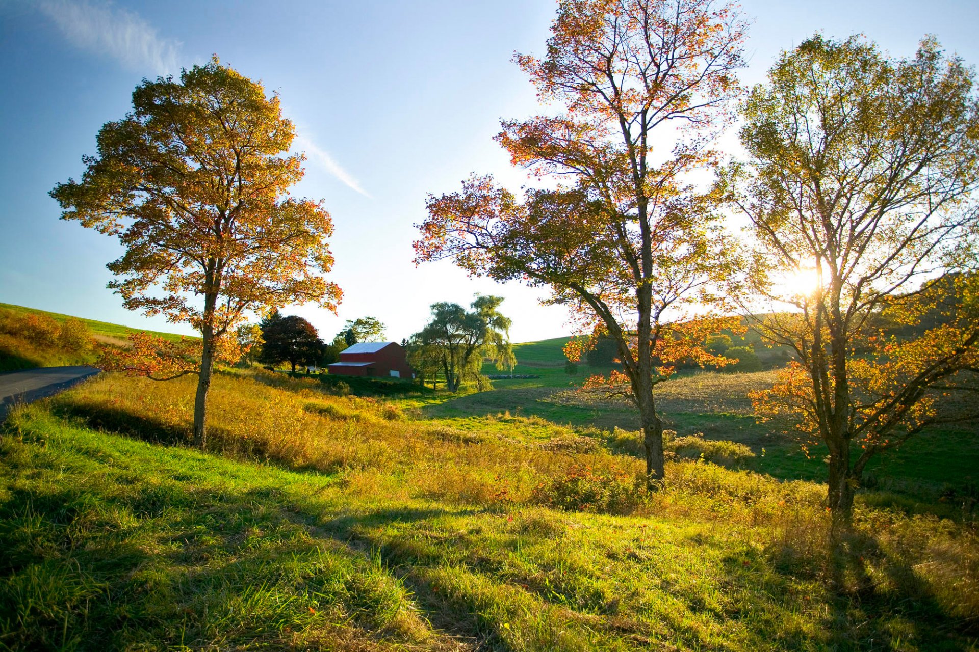 autumn sky tree house road the field space mood