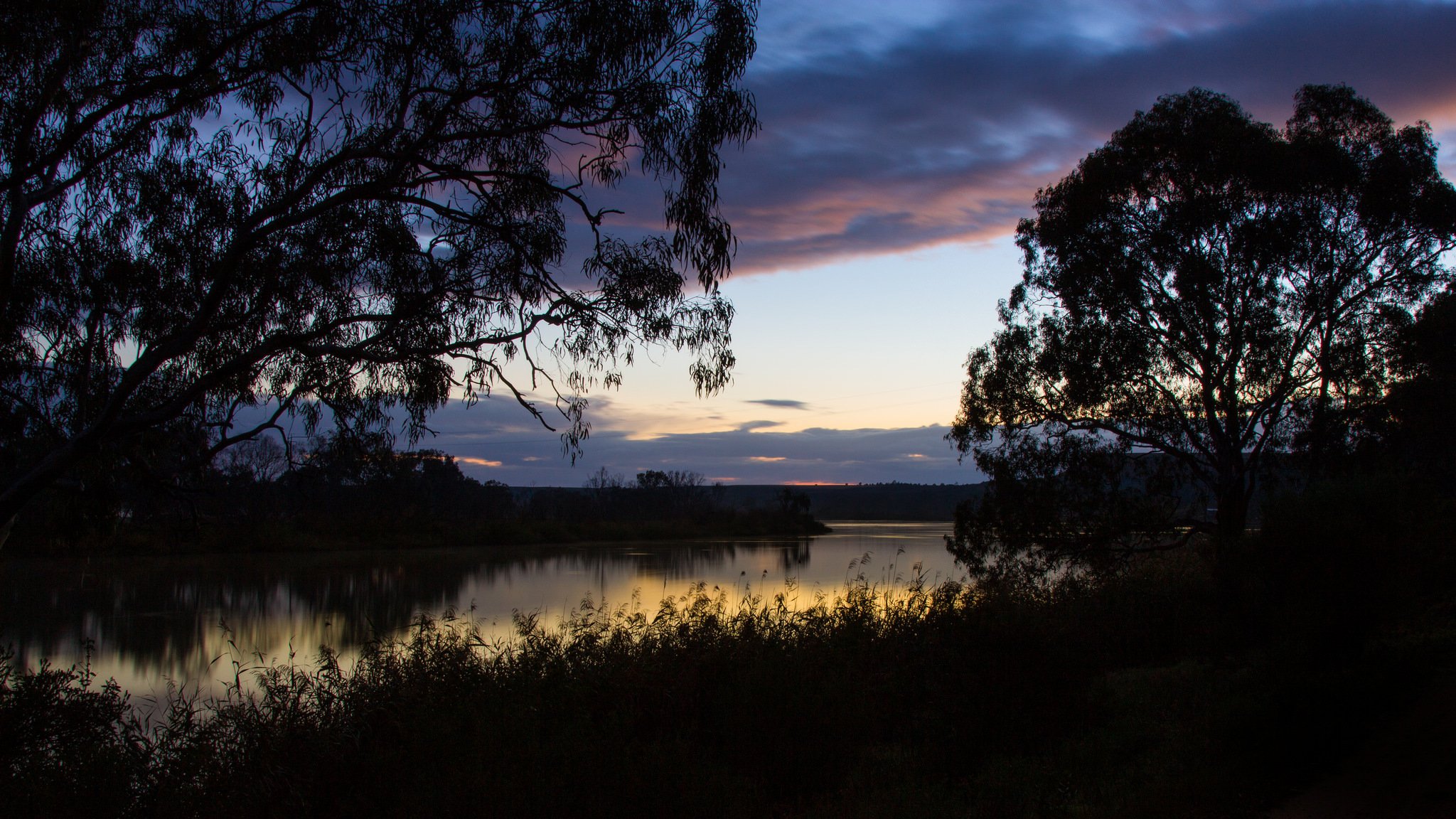 australia mattina alba fiume riva erba alberi cielo nuvole riflessione