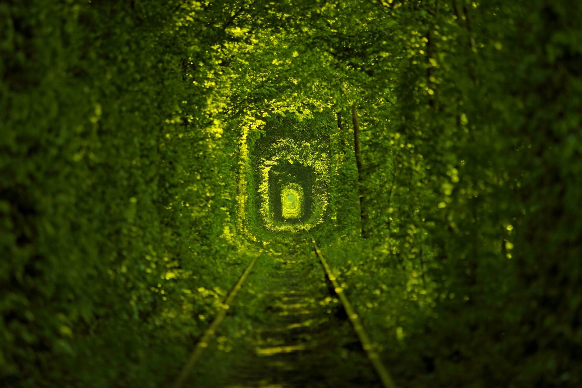 tunnel dell amore natura tram ucraina