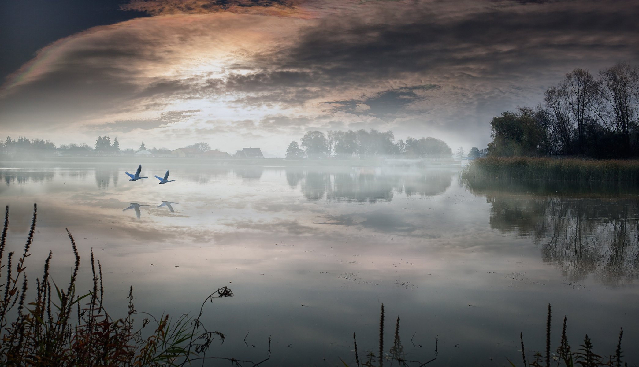 paysage lac matin village cygnes