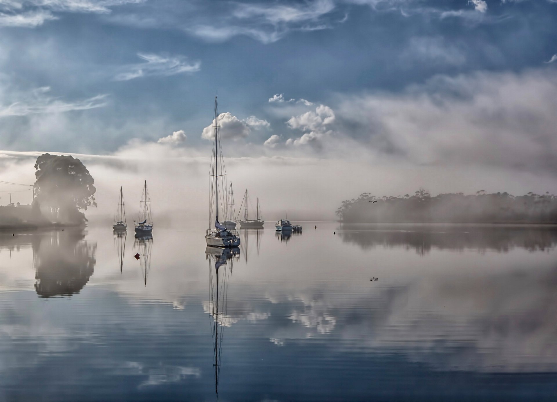 river mist tasmania australia river fog