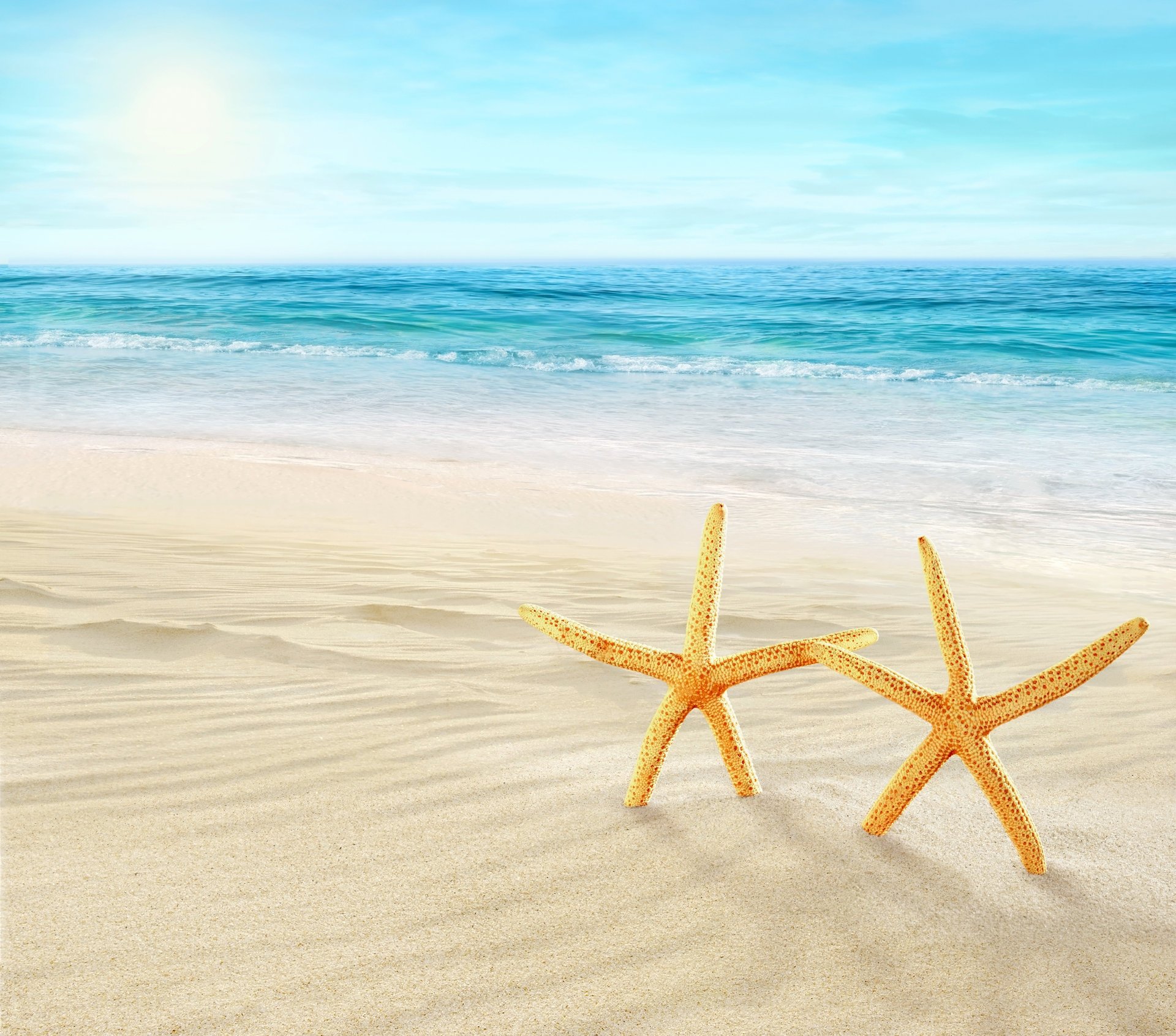 natur himmel wolken meer strand sommer muscheln