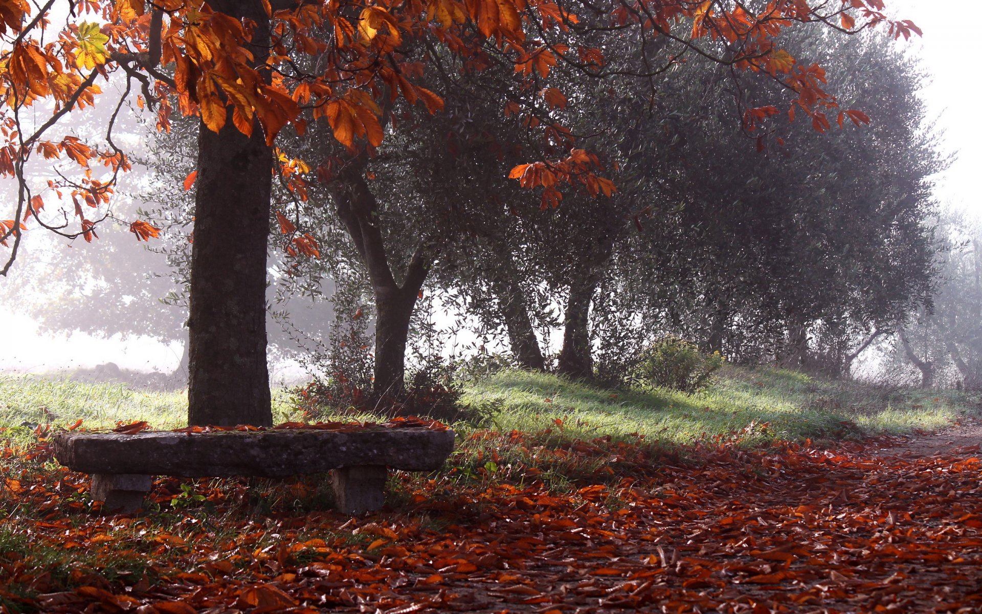 park jesień ławka