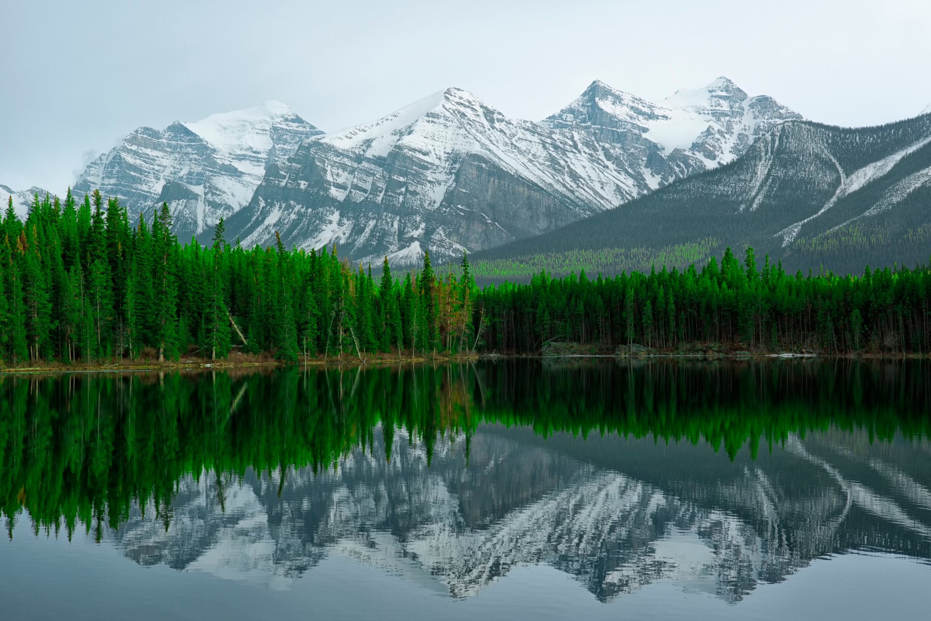 herbert lake lake mountains reflection