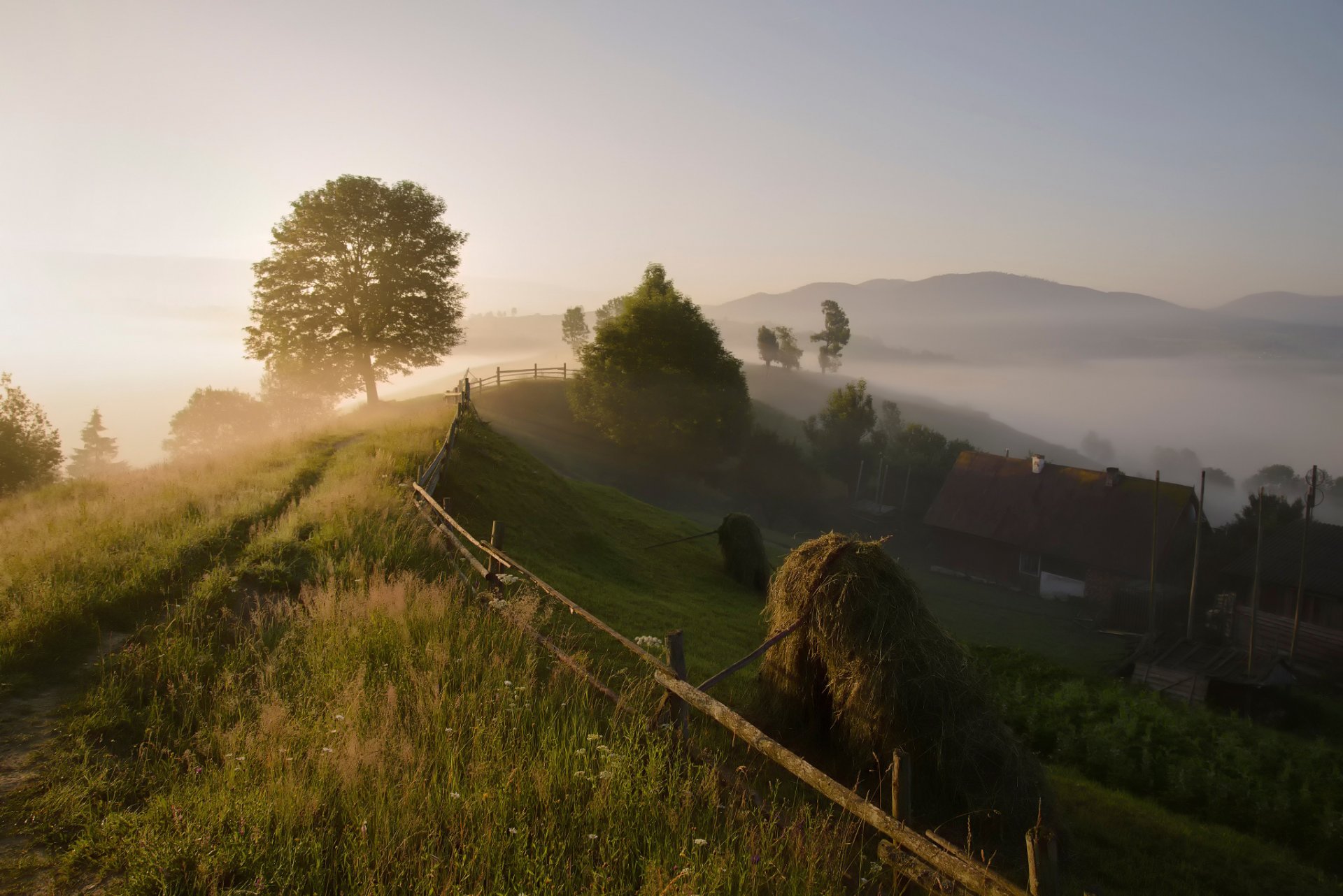 carpates village matin brouillard été