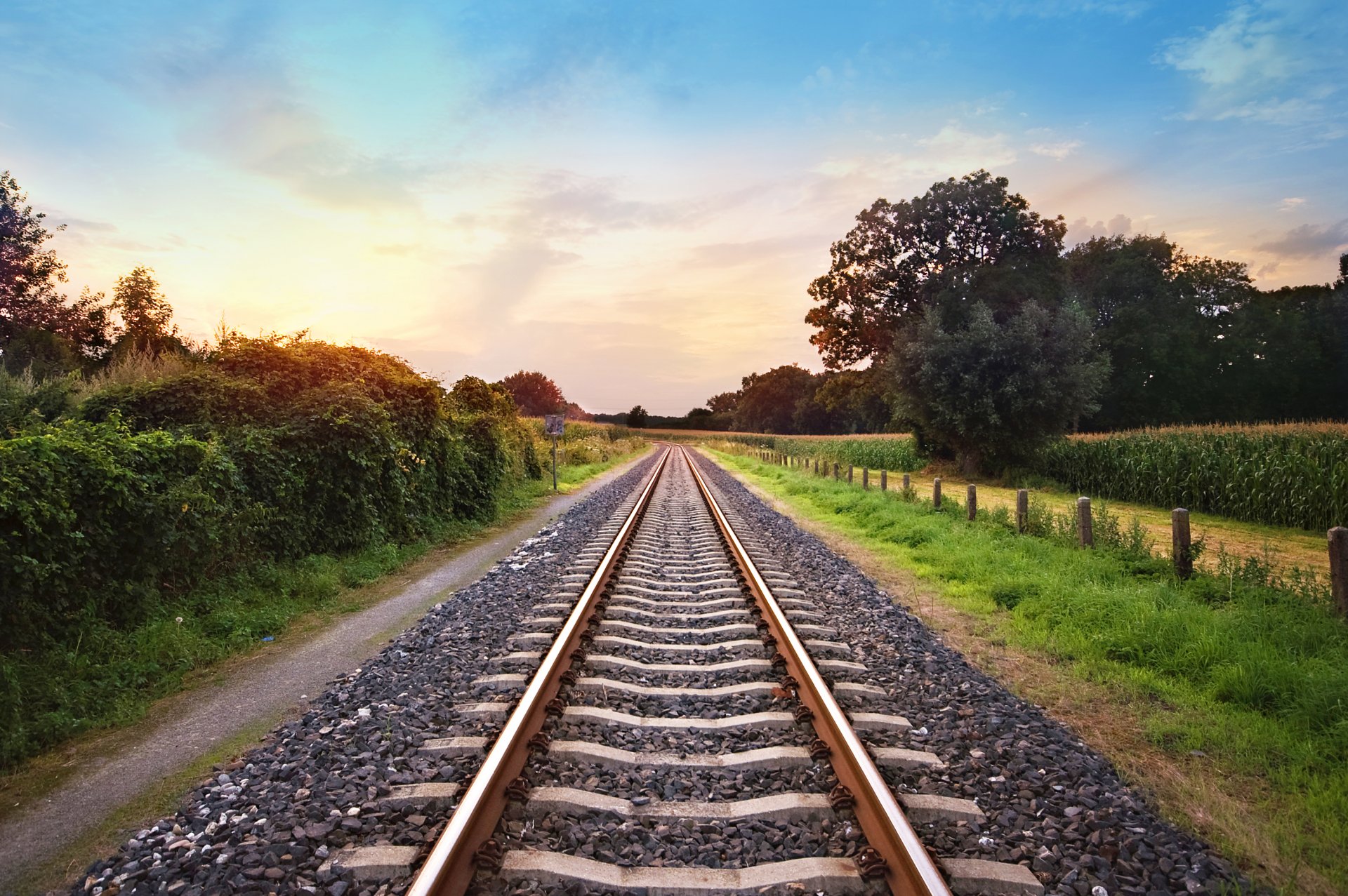 ferrocarril naturaleza carriles